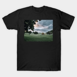 Dream Yard with Dramatic Sky Photography V2 T-Shirt